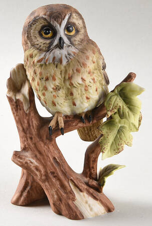 Gallery Birds Saw Whet Owl - No Box