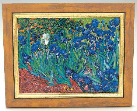 Artis Orbis-Van Gogh Iris Picture - No Box