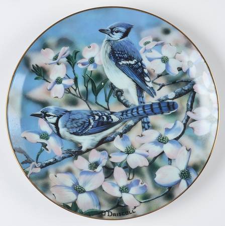 Favorite American Songbirds Blue Jays Of Spring - No Box