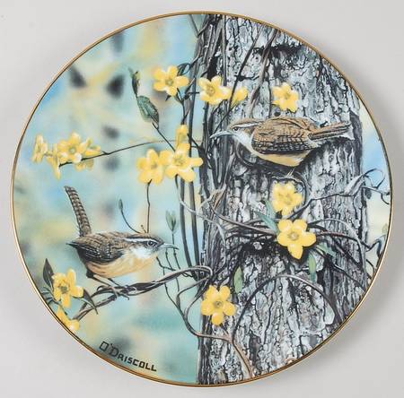 Favorite American Songbirds Carolina Wrens Of Spring - Boxed
