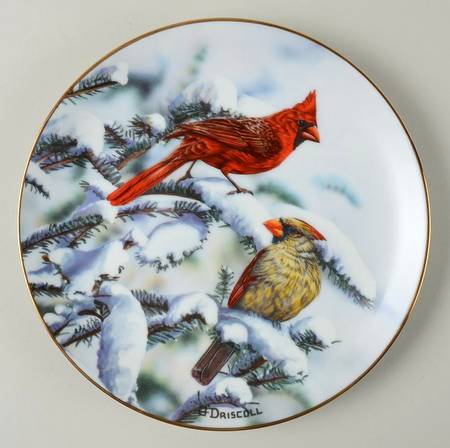 Favorite American Songbirds Red Cardinals Of Winter - No Box