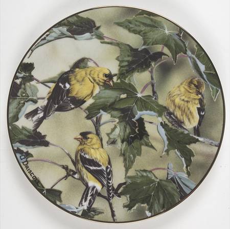 Favorite American Songbirds Goldfinches Of Summer - No Box