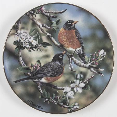 Favorite American Songbirds Robins And Appleblossoms - Boxed