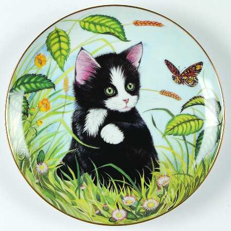 Kitten Appeal Buttercup And Daisies - No Box