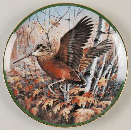 North American Gamebirds Woodcock - No Box