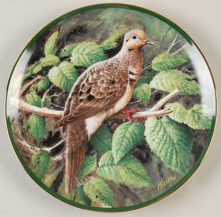 North American Gamebirds Mourning Dove - No Box