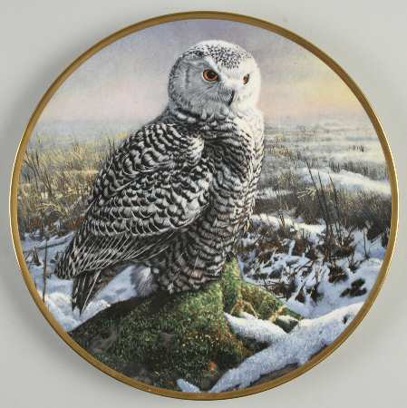 Noble Owls of America by Hamilton Collection