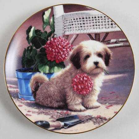 Puppy Playtime Weekend Gardener-Llasa Apsos - No Box