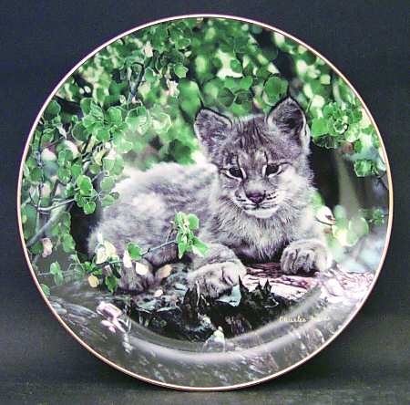 Small Wonders of the Wild by Hamilton Collection