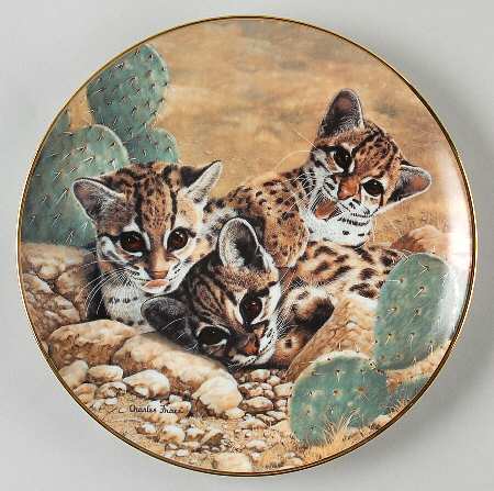 Small Wonders of the Wild Eyes Of Wonder - Boxed