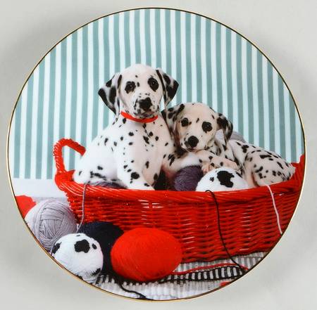 Those Delightful Dalmatians He's In My Spot - No Box by Hamilton Collection