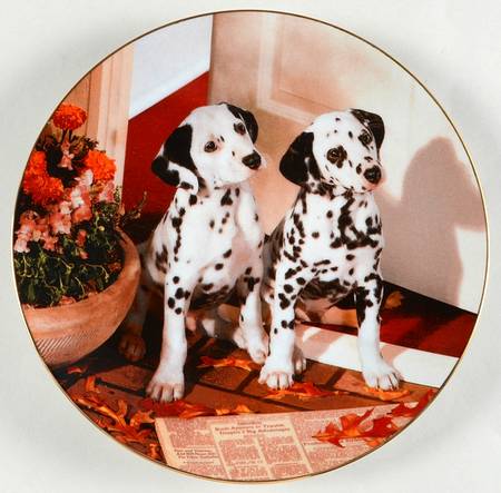 Those Delightful Dalmatians Spotted In Headlines - Boxed by Hamilton Collection