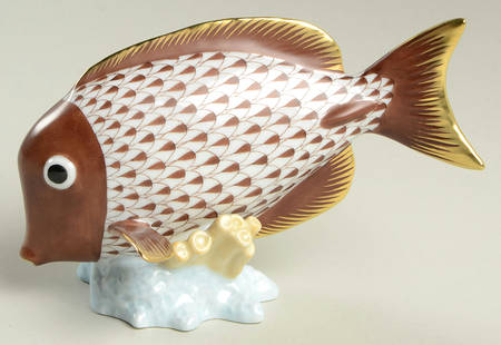 Fish Surgeon Fish-Chocolate - No Box