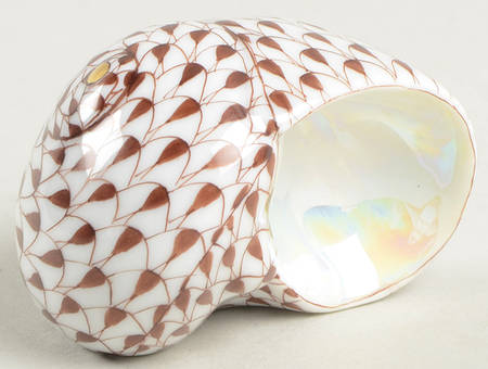Shells Shark Eye Shell-Chocolate - No Box
