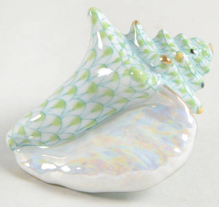 Shells Small Conch Shell-Key Lime - No Box