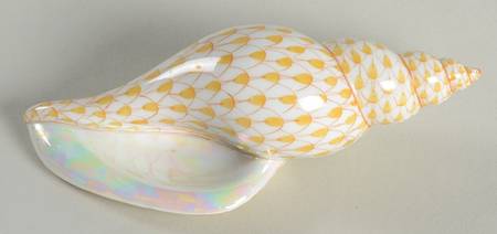 Shells Tulip Shell-Butterscotch - No Box