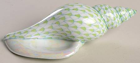 Shells Tulip Shell-Key Lime - No Box