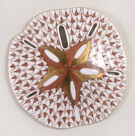 Shells Sand Dollar-Chocolate - No Box