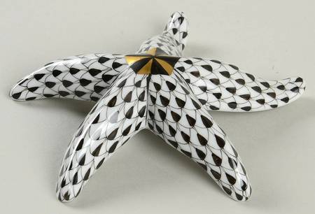Shells Starfish-Black - No Box