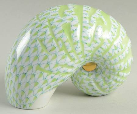 Shells Nautilus Shell-Key Lime - No Box