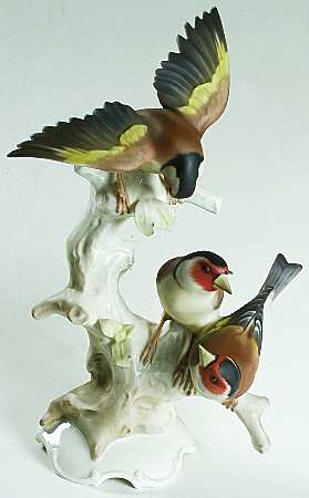 Birds Finch Group - No Box
