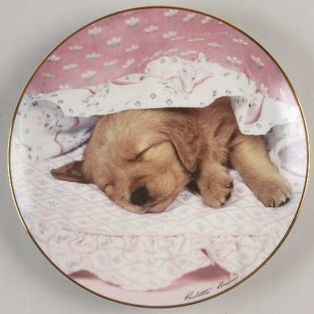 Golden Puppy Portraits by Hamilton Collection