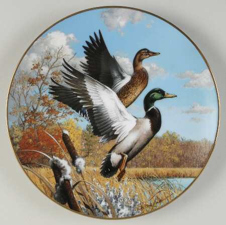 North American Ducks by Hamilton Collection