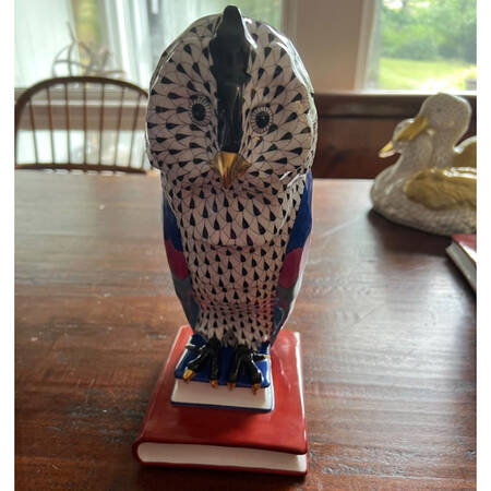 Birds of Prey Owl On Books-Black - No Box