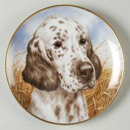 Bird Dogs by Kaiser