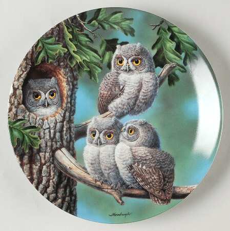 Baby Owls of North America by Edwin Knowles