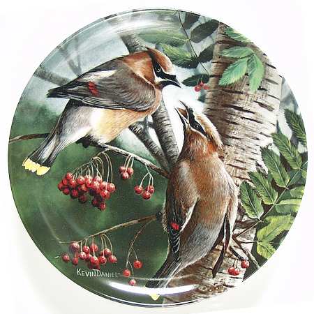 Encyclopedia Britannica Birds The Cedar Waxwing - Boxed