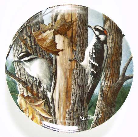 Encyclopedia Britannica Birds The Downy Woodpecker - Boxed