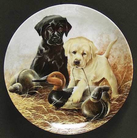 Field Puppies A Perfect Set-Labrador - Boxed