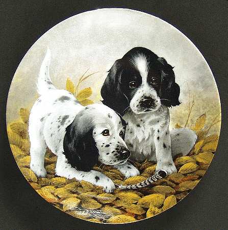 Field Puppies Fine Feathered Friends-English Setter - Boxed