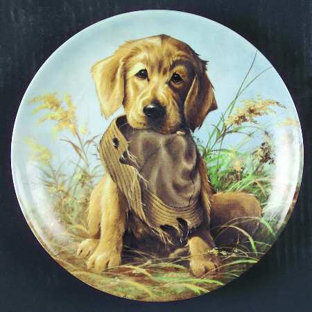 Field Puppies Caught In The Act-Golden Retriever - No Box