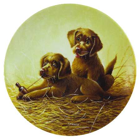 Field Trips Chesapeake Bay Retrievers - Boxed by Edwin Knowles
