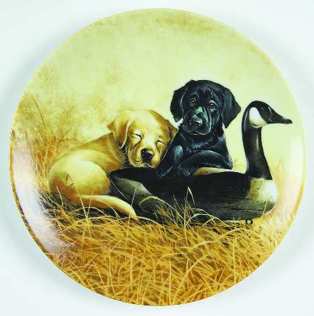 Field Trips Ducking Duty - Boxed by Edwin Knowles