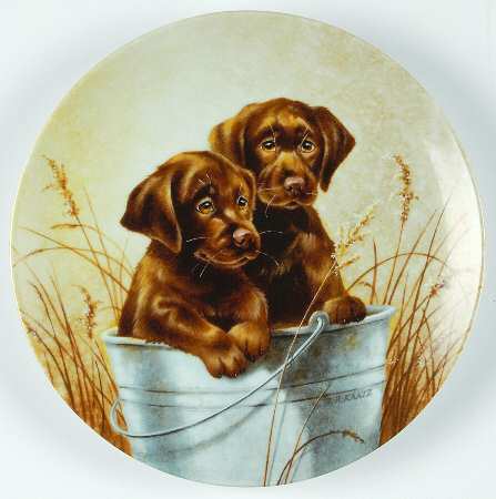 Field Trips Pail Pals - No Box by Edwin Knowles