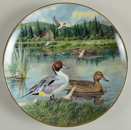 Living with Nature-Jerner's Ducks by Edwin Knowles