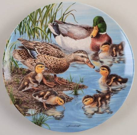 Nature's Nursery by Edwin Knowles