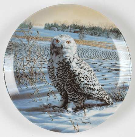 Stately Owls by Edwin Knowles