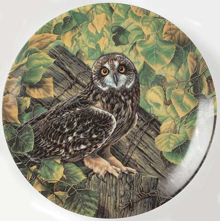 Stately Owls The Short-Eared Owl - Boxed