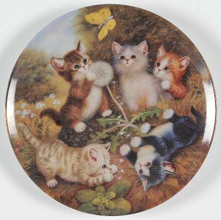 Kitten Expeditions In The Meadow - No Box by Kahla
