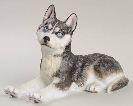 Breed Puppies Siberian Husky - No Box