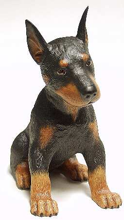 Breed Puppies Doberman Pinscher - Boxed