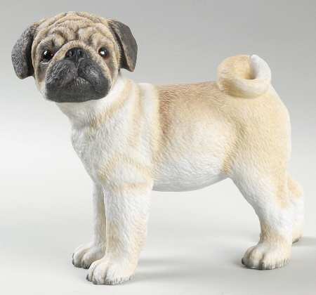 Breed Puppies Pug Puppy - No Box