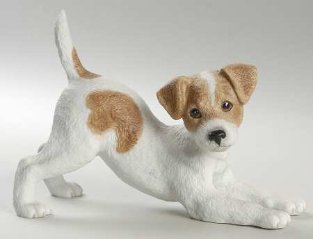 Breed Puppies Jack Russell Terrier Puppy - No Box