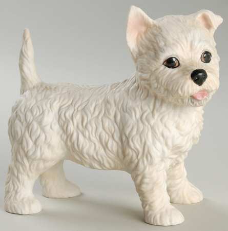 Breed Puppies West Highland White Terrier - Boxed