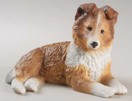 Breed Puppies Sheltie-Shetland Sheepdog - No Box