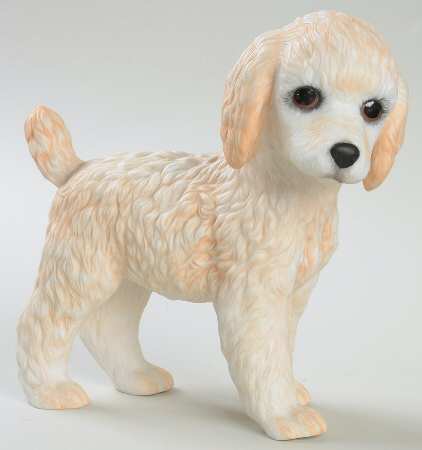 Breed Puppies Poodle - Boxed